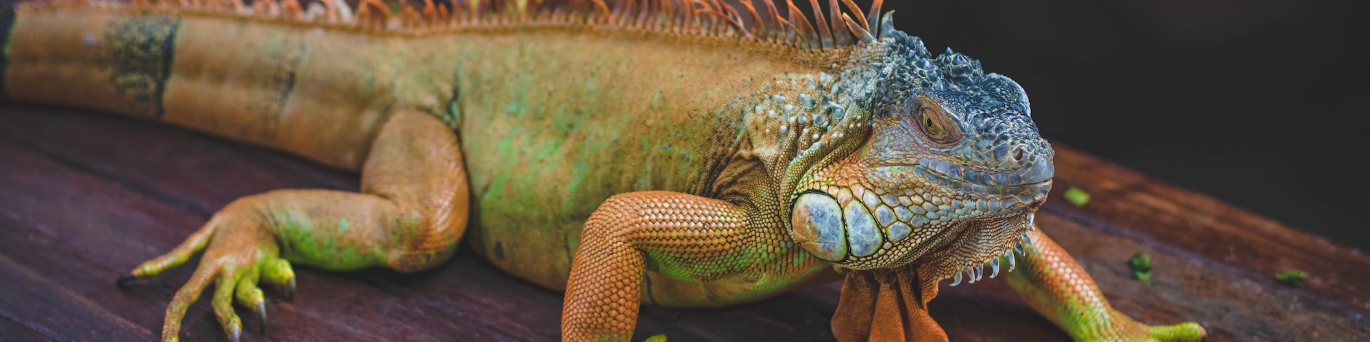 0/HomeBanner/pexels-valeria-boltneva-860597 (2).jpg